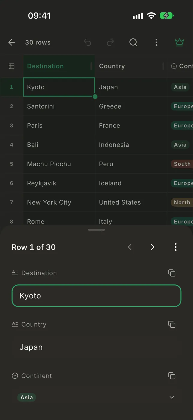 A row open as a form, one field per column, with previous and next buttons
