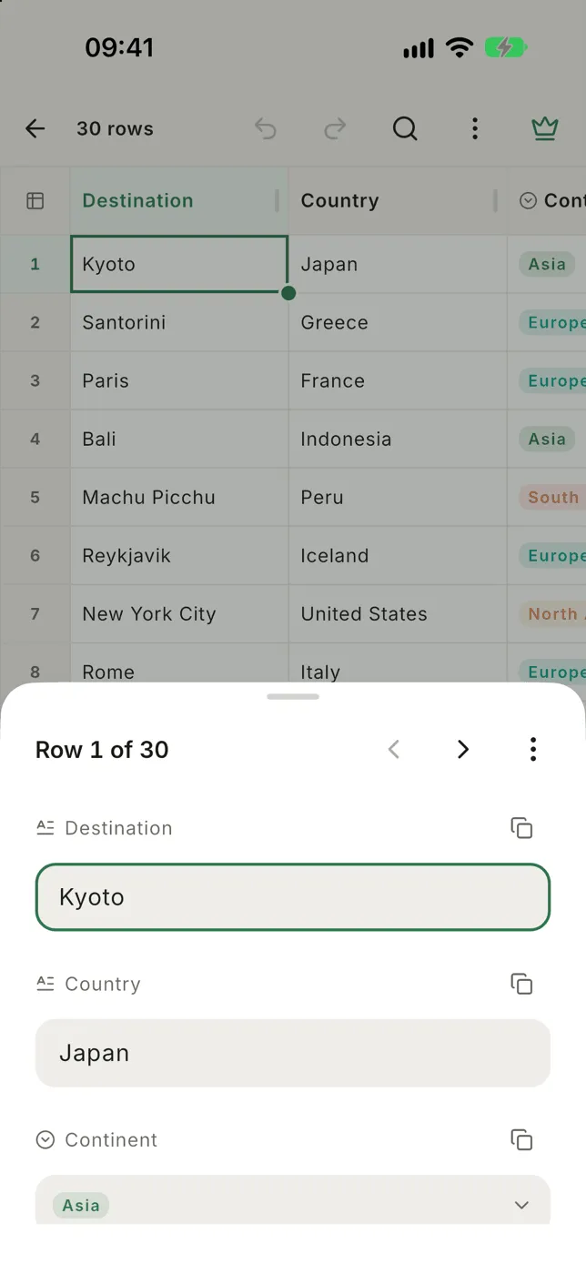 A row open as a form, one field per column, with previous and next buttons