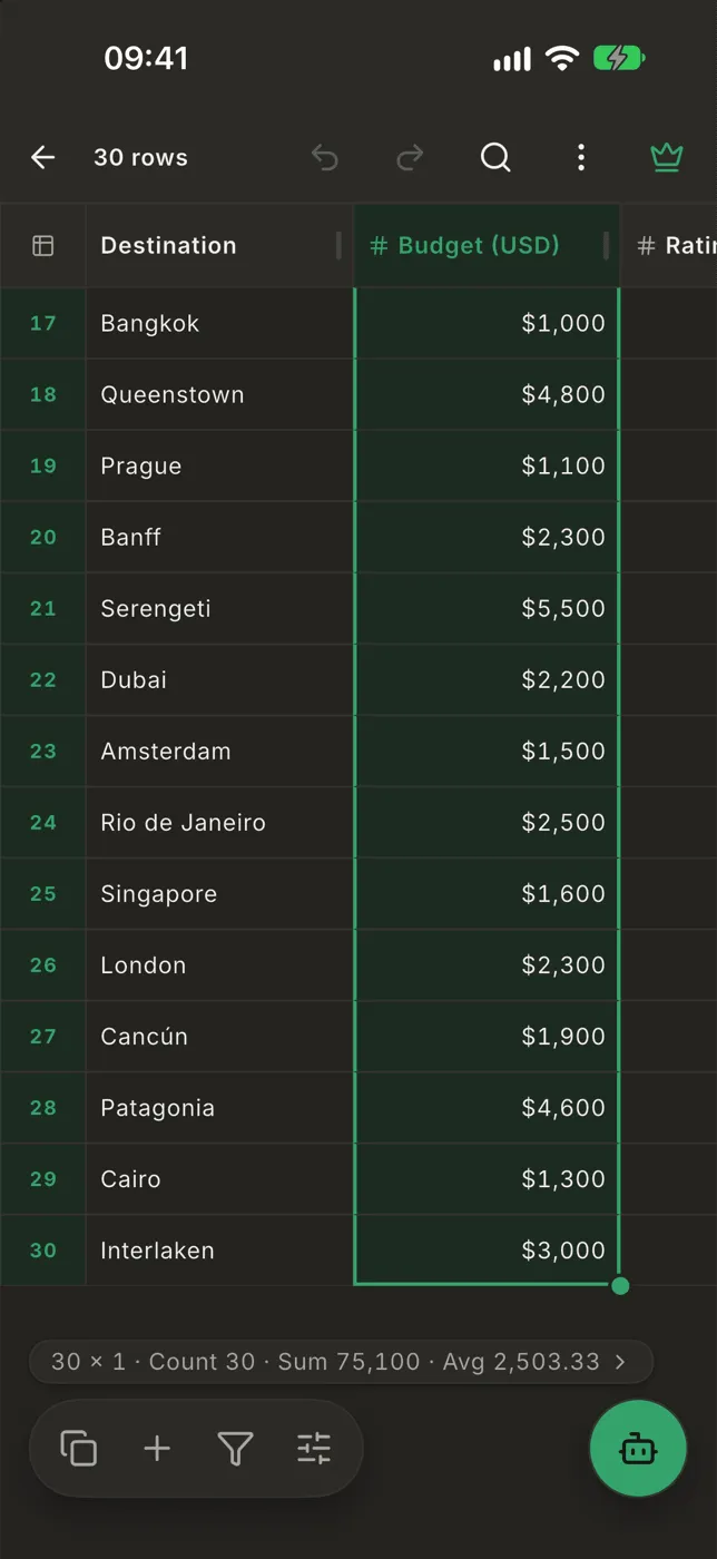 A whole column selected, with the count, sum and average above the bottom bar